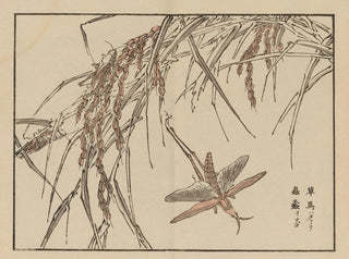 Bairei gafu, plate 72 - Kono Bairei — artwork view