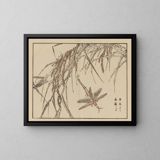 Bairei gafu, plate 72 - Kono Bairei — framed artwork on a wall