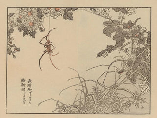Bairei gafu, plate 74 - Kono Bairei — artwork view