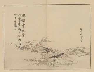 Bairei gafu, plate 75 - Kono Bairei — artwork view