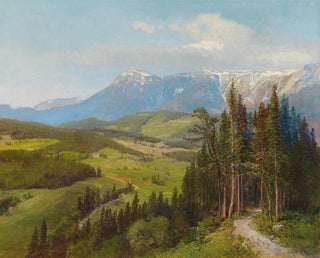 View of the Rax region - Konrad Petrides — artwork view