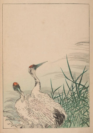 Kacho gafu Pl02 - Kotei Fukui — artwork view
