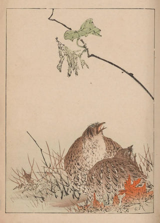 Kacho gafu Pl12 - Kotei Fukui — artwork view