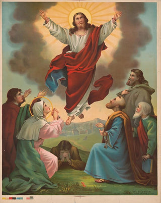 Krebs Lith Co - The ascension.webp