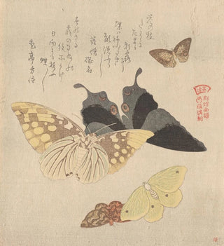 The Painting Manual of the Swarm of Butterflies Guncho Gafu 4 - Kubo Shunman