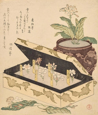 Kubo Shunman - Assortment of primroses in a lacquer box.webp