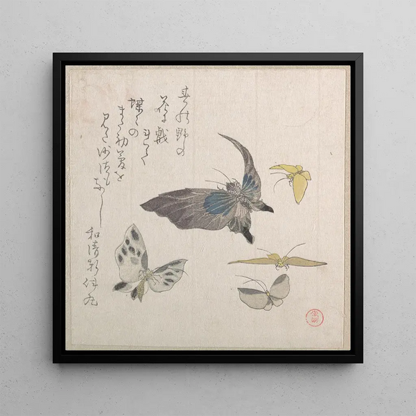 Butterflies - Kubo Shunman — framed artwork on a wall