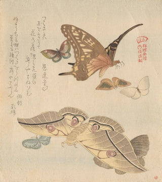 Kubo Shunman - Butterflies and moths from the series A Flock of Butterflies Gunch Gafu.webp