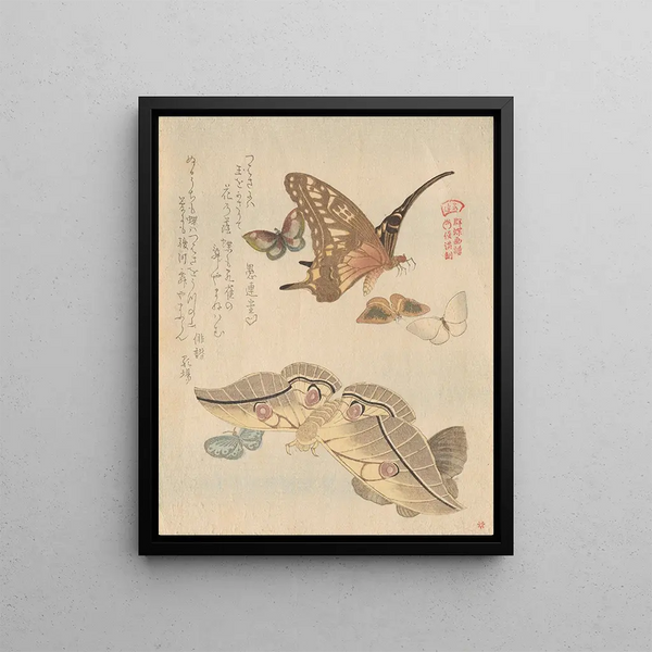 Butterflies and Moths from the series A Flock of Butterflies Gunch Gafu - Kubo Shunman — framed artwork on a wall