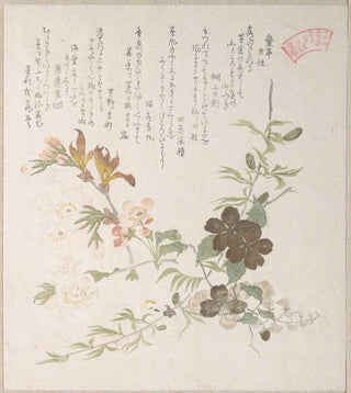 Kubo Shunman - Cherry Blossoms and Yamabuki Flowers.webp