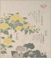 Corchorus or yellow rose and creeping saxifrage - Kubo Shunman — artwork view