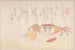 Crab, cooked rice ball and persimmon seed - Kubo Shunman — artwork view