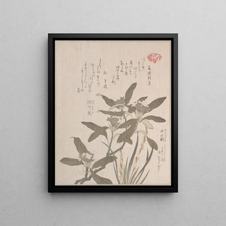 Kubo Shunman - Daphne odora and Mojisuriso.webp