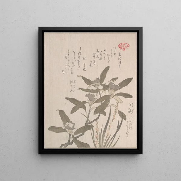 Daphné odora et Mojisuriso - Kubo Shunman — framed artwork on a wall