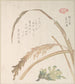 Plant of rice and petasite - Kubo Shunman — artwork view