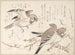 Sparrows and Plum Blossoms - Kubo Shunman — artwork view
