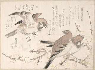 Sparrows and Plum Blossoms - Kubo Shunman — artwork view