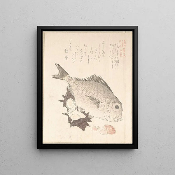 Fish Tai and Top Shells - Kubo Shunman — framed artwork on a wall