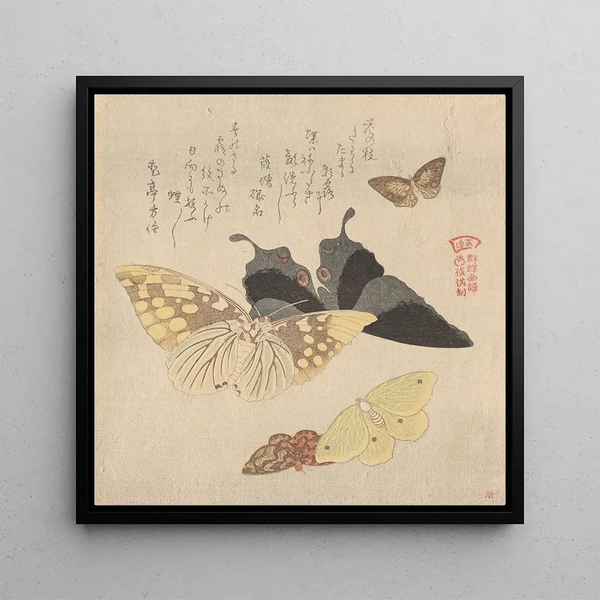The Butterfly Painting Manual Guncho Gafu 4 - Kubo Shunman — framed artwork on a wall