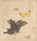 The Butterfly Painting Manual by Volée de Papillons Guncho Gafu 5 - Kubo Shunman — artwork view