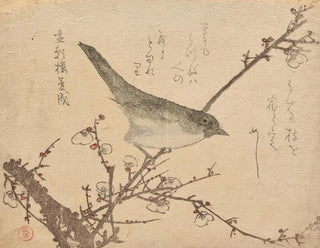 Fauvette sur une branche de prunier - Kubo Shunman — artwork view