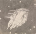 The Creation of the Heavens - John Flaxman — artwork view