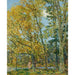 Reproduction of the painting The Bather - Childe Hassam