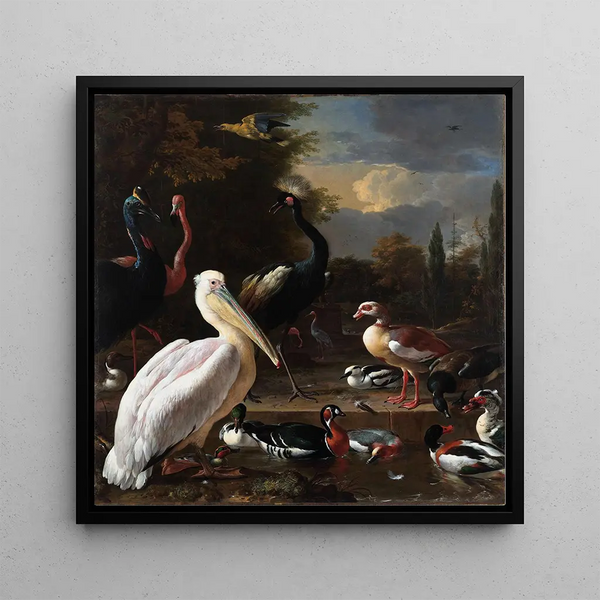 La plume flottante - Melchior d'Hondecoeter — framed artwork on a wall