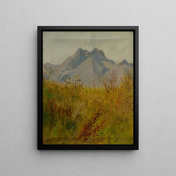Pic Lomnický - Ladislav Mednyánszky — framed artwork on a wall