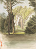 Trees in a Park - Ladislav Mednyánszky — artwork view