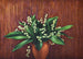 Lily of the Valley - Lafayette F. Cargill — artwork view