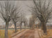 a road near Vindern, Zealand - Laurits Andersen Ring — artwork view