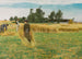 Harvest Time at Ladby - Laurits Andersen Ring — artwork view
