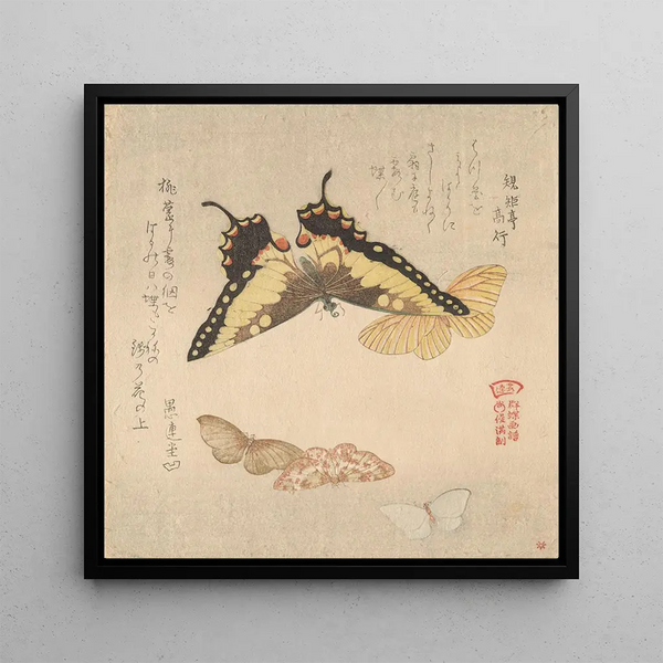 The Painting Manual of Flock of Butterflies Guncho Gafu 3 - Kubo Shunman — framed artwork on a wall