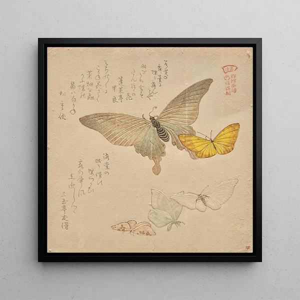 The Butterfly Cloud Painting Manual Guncho Gafu 2 - Kubo Shunman — framed artwork on a wall