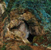 The Dragon's Den - James Campbell — artwork view