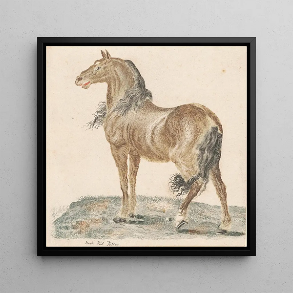 The neighing horse - Johann Teyler — framed artwork on a wall