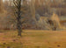 Fragment de parc - Leon Szpydrowski — artwork view