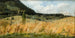 Cornfield Painting - Leon Wyczółkowski — artwork view