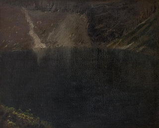 Lac Noir - Leon Wyczółkowski — artwork view