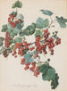 Rote Ribisel - Leopold Zinggler — artwork view