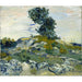 Reproduction of the painting Les rochers - Vincent van Gogh