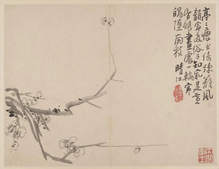 Album de pruniers en fleurs - Li Fangying — artwork view