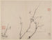 Album de pruniers en fleurs - Li Fangying — artwork view