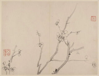 Album de pruniers en fleurs - Li Fangying — artwork view