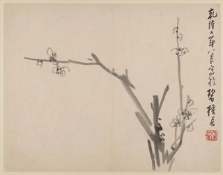 Album of Blooming Plum Trees - Li Fangying — artwork view