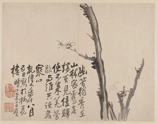 Album of Blooming Plum Trees - Li Fangying — artwork view