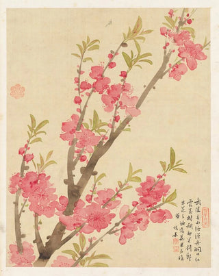 Liang Yuwei - Flowers Pl01.webp