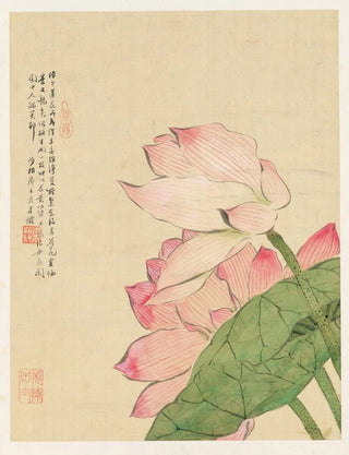 Liang Yuwei - Flowers Pl04.webp