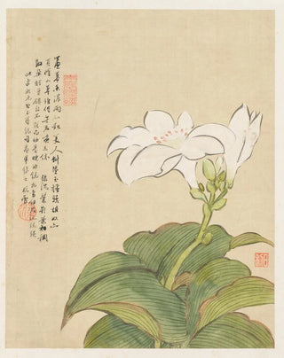 Liang Yuwei - Flowers Pl07.webp